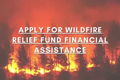 apply.png