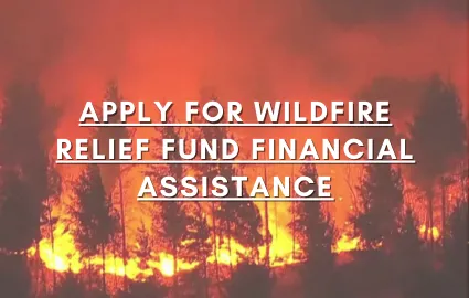 apply.png